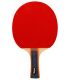 Palas Tenis Mesa Pala Ping Pong P100