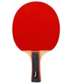 Palas Tenis Mesa Pala Ping Pong P100