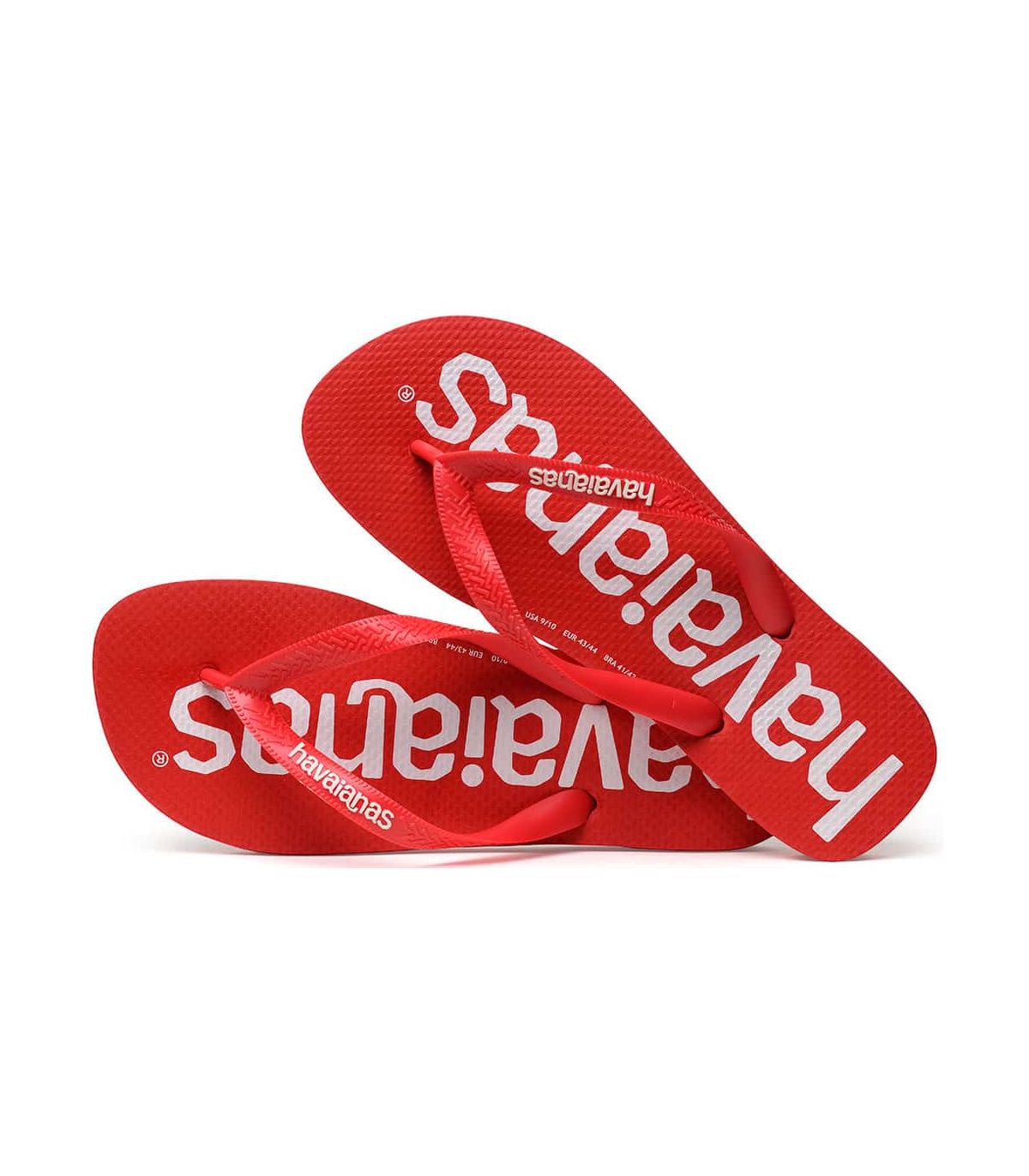Tienda Sandalias / Chancletas Hombre Havaianas Top Logomania