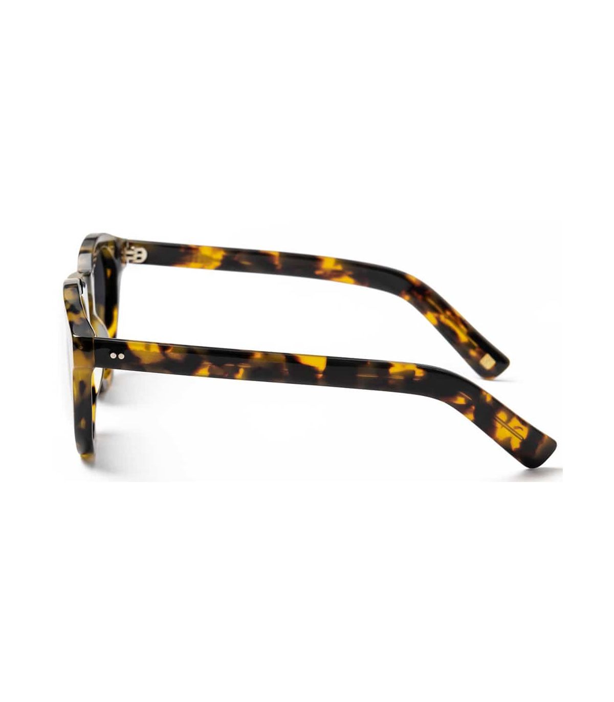 Gafas de Sol Casual Ocean Kansas Brown Smoke