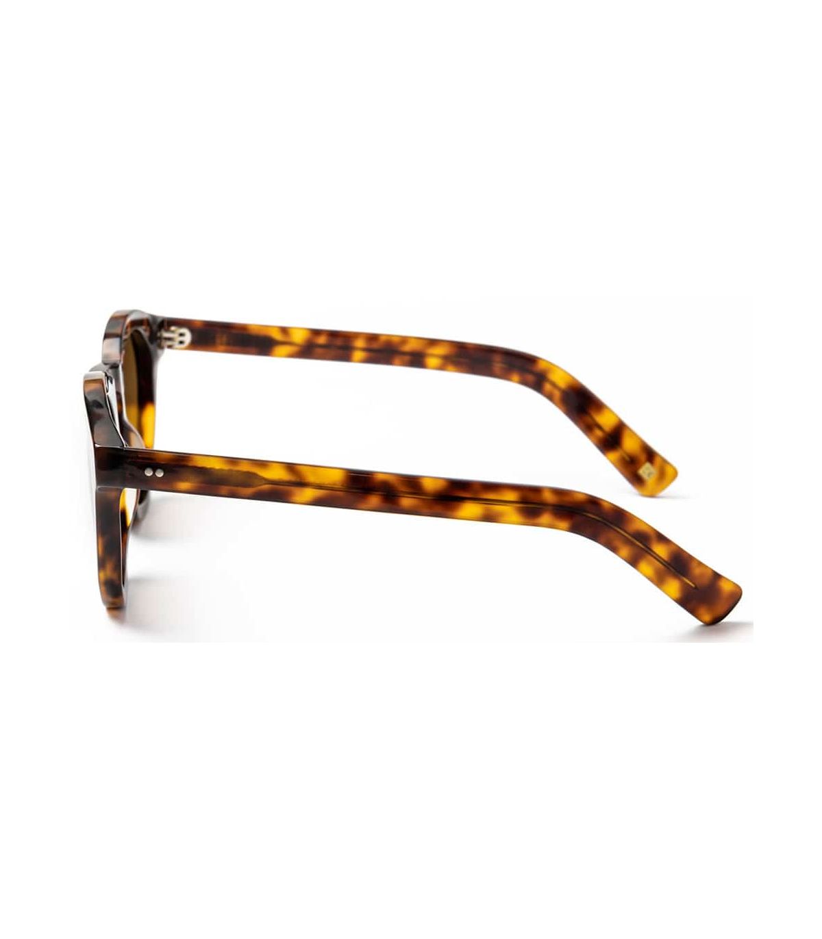 Gafas de Sol Casual Ocean Kansas Brown