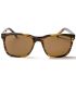 Ocean Burton Stripe Brown