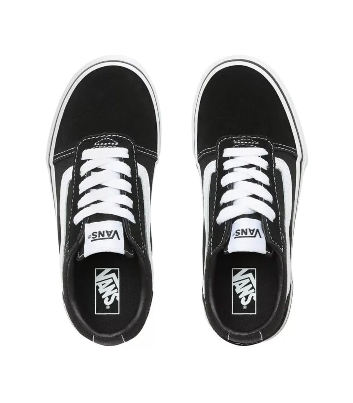 Calzado Casual Junior Vans Ward Yt Junior