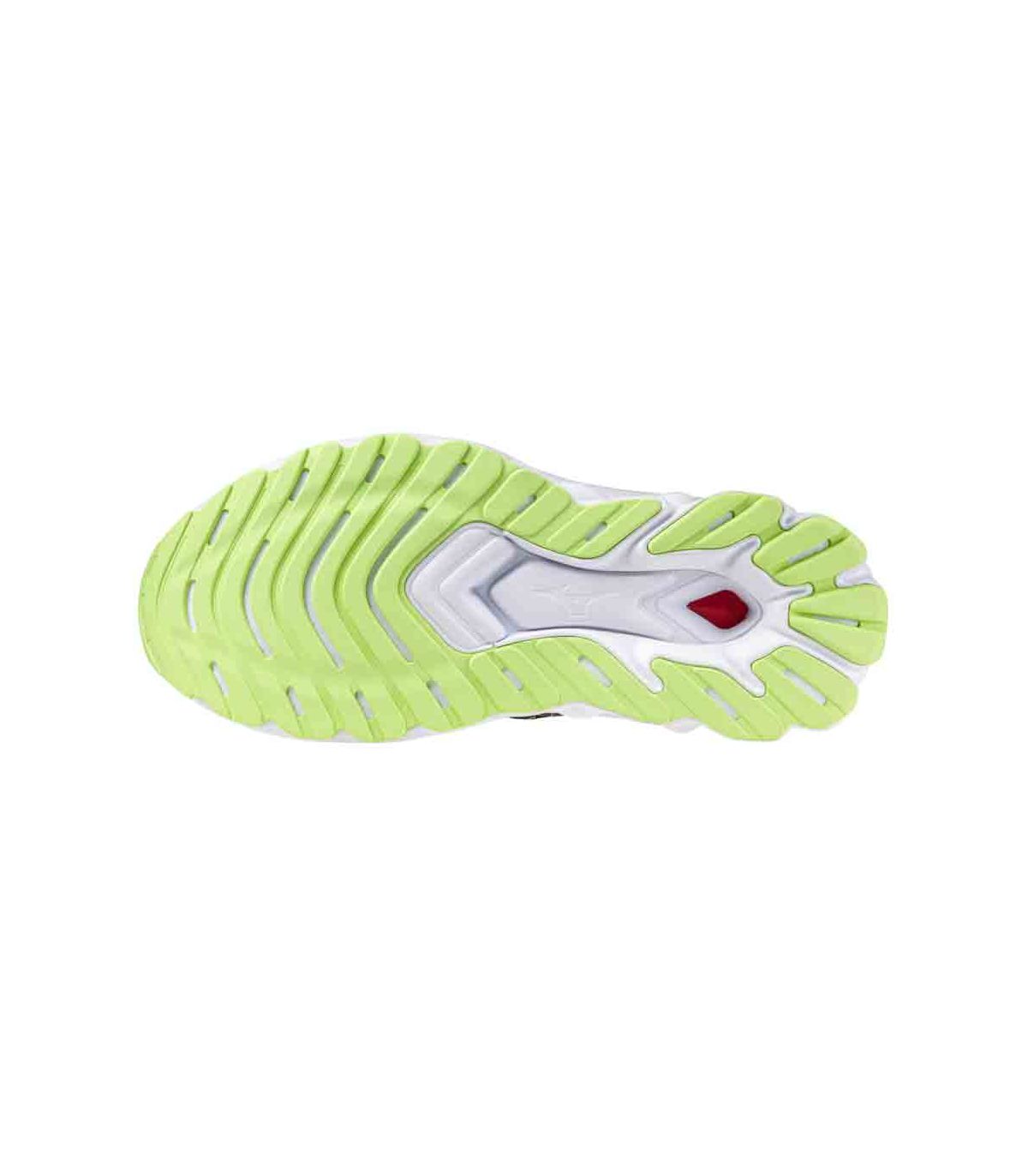 Zapatillas Running Mujer Mizuno Wave Skyrise 5 Roxy