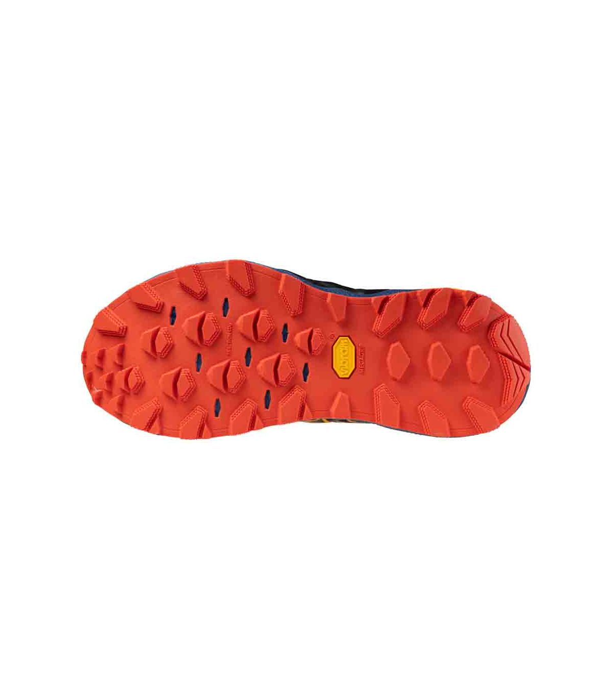 Zapatillas Trail Running Hombre Mizuno Wave Mujin 10