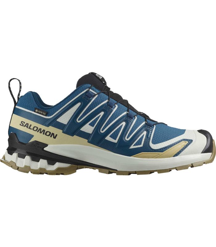 Zapatillas Trail Running Hombre Salomon XA Pro 3D V9 Gore-Tex