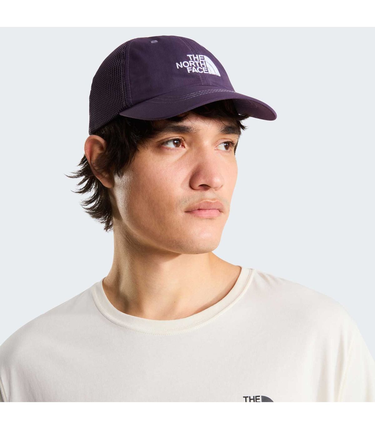 Gorra The North Face Horizon Trucker Endless Dusk | Running