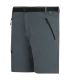 Regatta Pantalon Corto Xertstretch Gris
