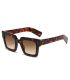 Ocean Gafas de Sol Polarizadas New Era 12 Brown / Grey