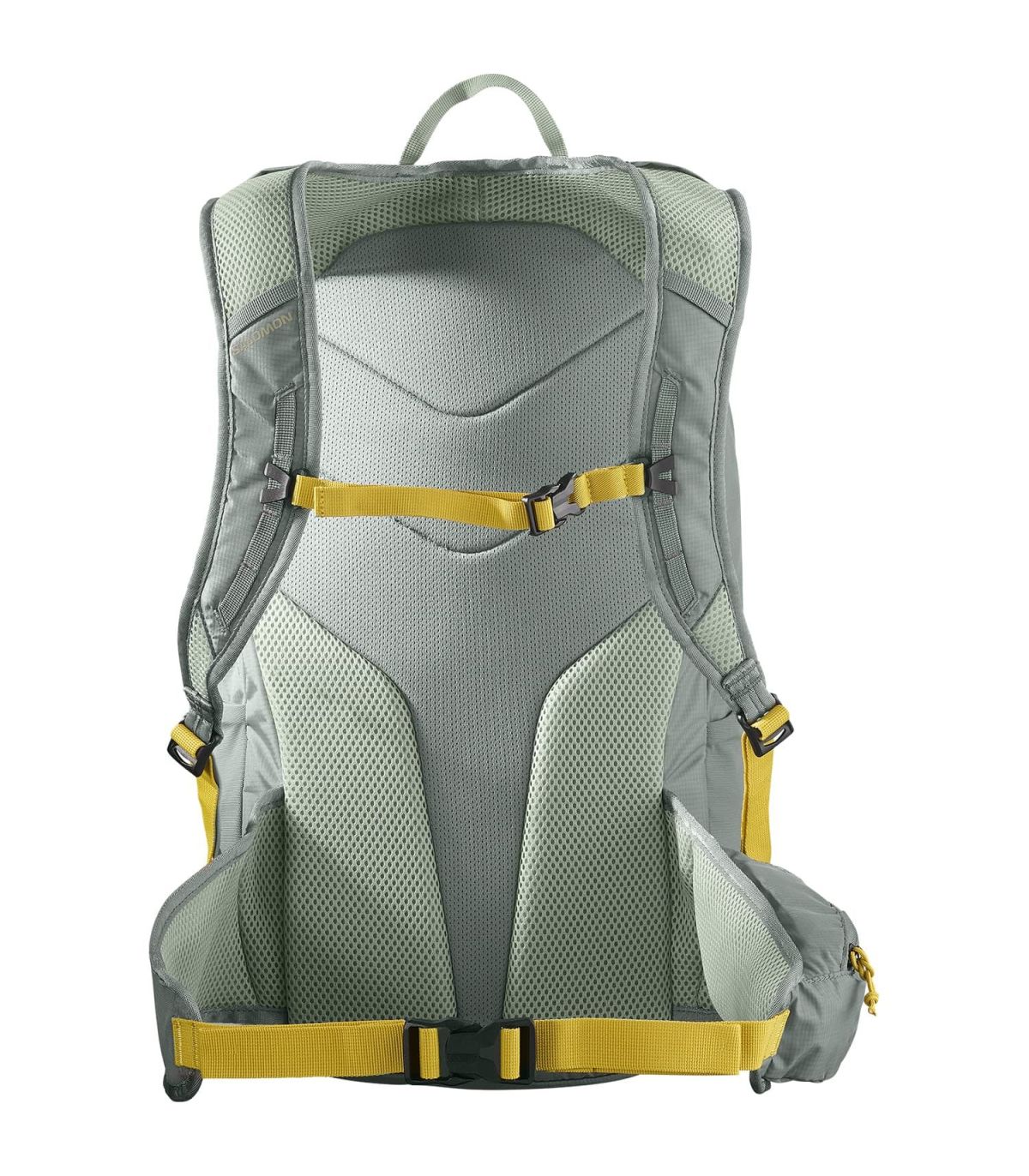Salomon Mochila Trailblazer 20 Verde | arnés transpirable